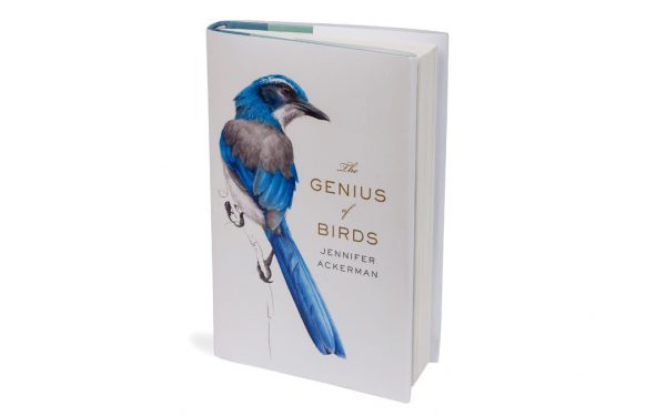 The Genius of Birds book cover